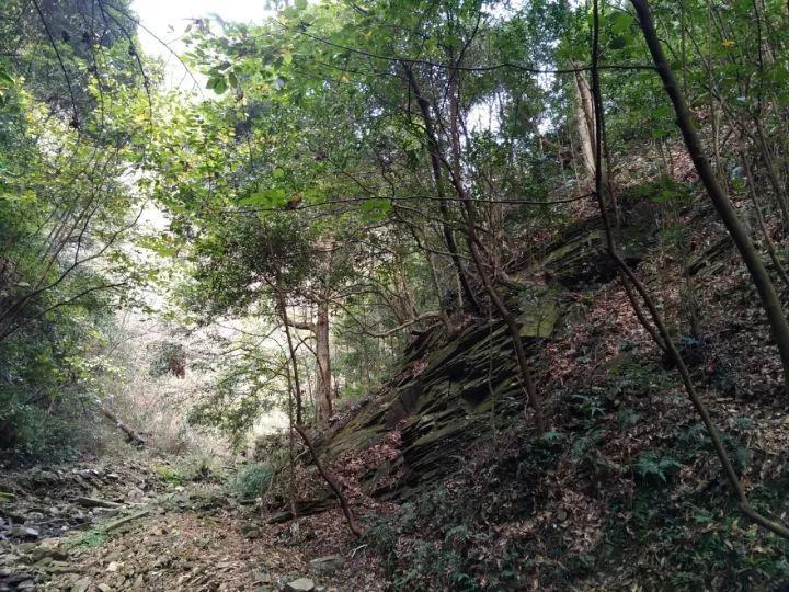 迷你西游