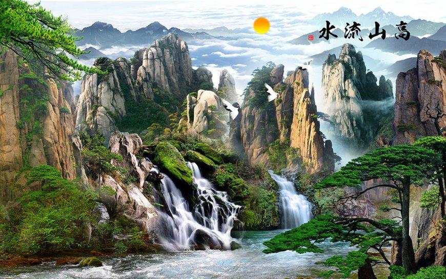 拯救受伤的猫